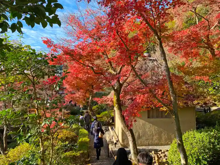 華厳寺(鈴虫寺)の自然
