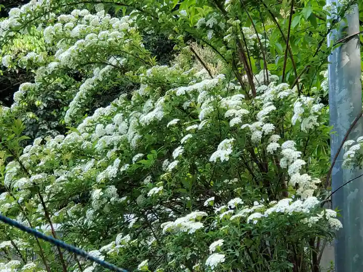 舟城神社の自然