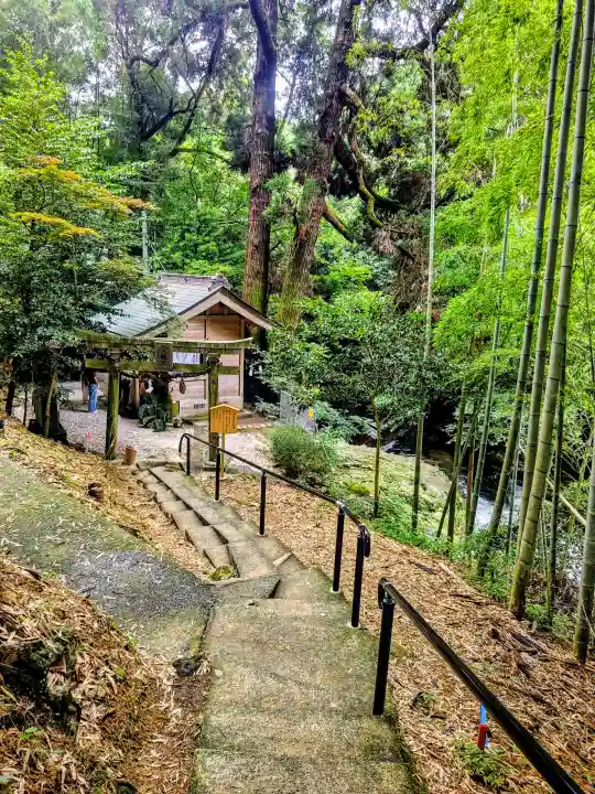 神龍八大龍王神社(熊本県)
