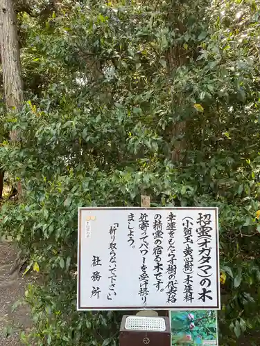 息栖神社の歴史