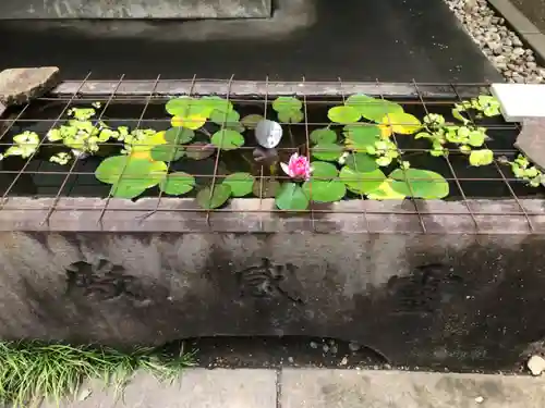 金地院(東京都)