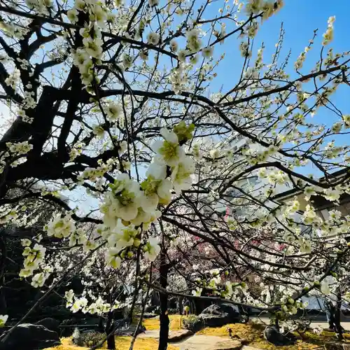 湯島天満宮の庭園