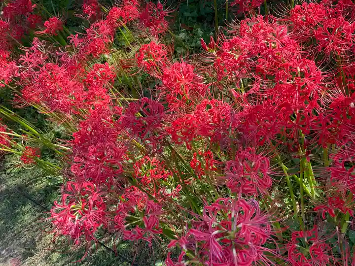 横浜 西方寺(神奈川県)