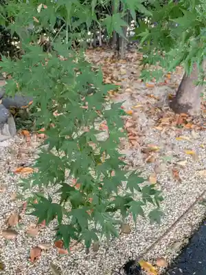 高円寺(東京都)