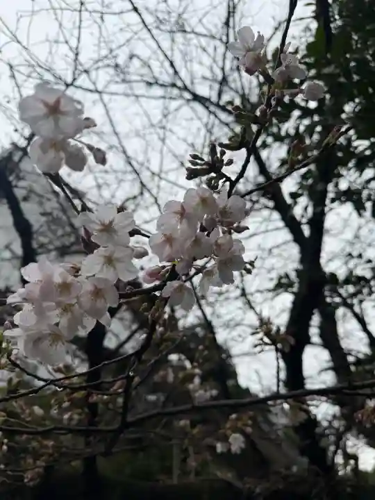 猿江神社の{uncategorized: "未分類", other: "その他", undefined: "問題あり", building: "その他建物", grave: "お墓", sacred_gate: "鳥居", guardian: "狛犬", statue: "像", buddha: "仏像", history: "歴史", nature: "自然", garden: "庭園", animal: "動物", pagoda: "塔", temizu: "手水舎", mountain_gate: "山門・神門", sanctuary: "本殿・本堂", subordinate: "末社・摂社", art: "芸術", scenery: "景色", jizo: "地蔵", ema: "絵馬", goshuin: "御朱印", omikuji: "おみくじ", items: "授与品その他", amulet: "お守り", goshuincho: "御朱印帳", eats: "食事", festival: "お祭り", votive_dance: "神楽", shichigosan: "七五三参", wedding: "結婚式", experience: "体験その他", initially: "初詣", around: "周辺", anti_infection: "感染症対策"}