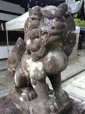 敷地神社（わら天神宮）の狛犬