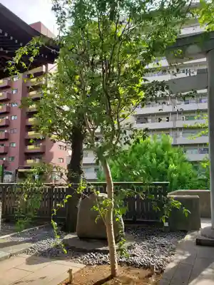 熊野神社(東京都)