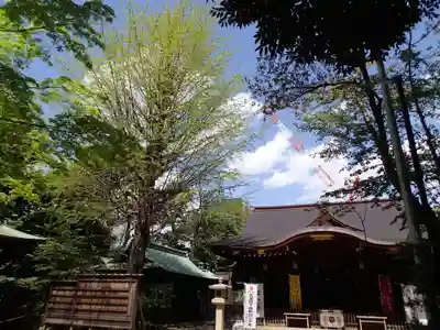 渋谷氷川神社のその他建物