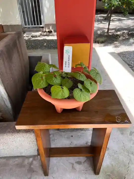 日本橋日枝神社(東京都)