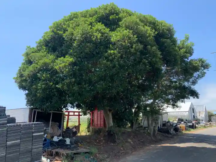 稲荷神社(千葉県)