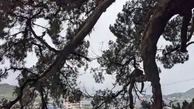 寶生院の自然
