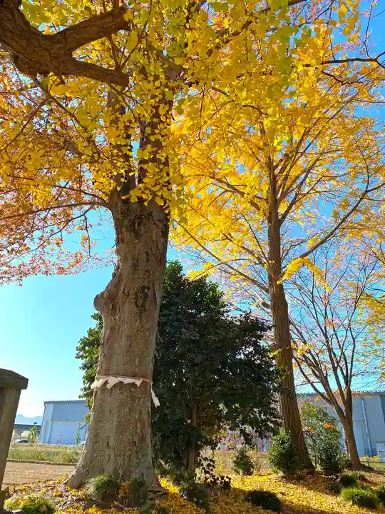 天神社のその他建物