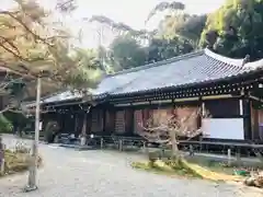 浄瑠璃寺(京都府)