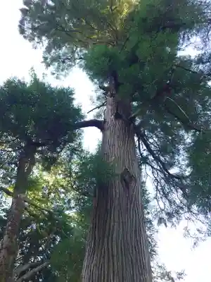 二嶽神社(宮崎県)
