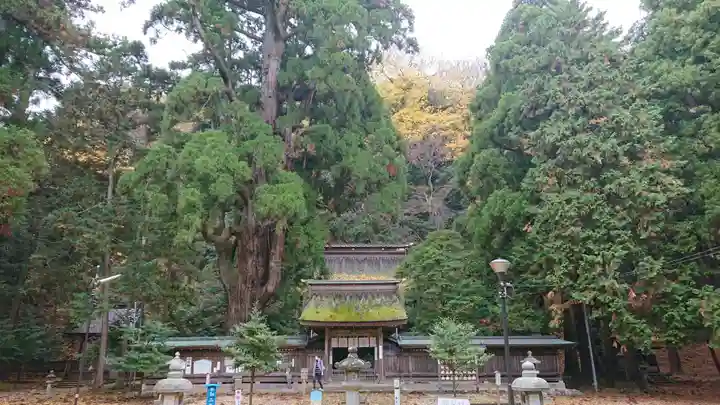 若狭姫神社(若狭彦神社下社)のその他建物