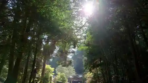都祁水分神社の{uncategorized: "未分類", other: "その他", undefined: "問題あり", building: "その他建物", grave: "お墓", sacred_gate: "鳥居", guardian: "狛犬", statue: "像", buddha: "仏像", history: "歴史", nature: "自然", garden: "庭園", animal: "動物", pagoda: "塔", temizu: "手水舎", mountain_gate: "山門・神門", sanctuary: "本殿・本堂", subordinate: "末社・摂社", art: "芸術", scenery: "景色", jizo: "地蔵", ema: "絵馬", goshuin: "御朱印", omikuji: "おみくじ", items: "授与品その他", amulet: "お守り", goshuincho: "御朱印帳", eats: "食事", festival: "お祭り", votive_dance: "神楽", shichigosan: "七五三参", wedding: "結婚式", experience: "体験その他", initially: "初詣", around: "周辺", anti_infection: "感染症対策"}