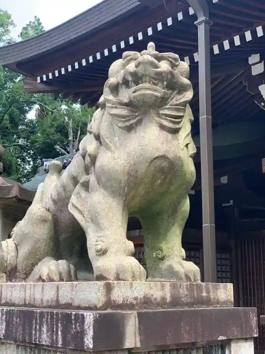 京都霊山護國神社の狛犬
