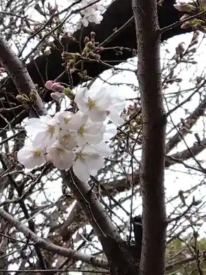 式内楯原神社(大阪府)