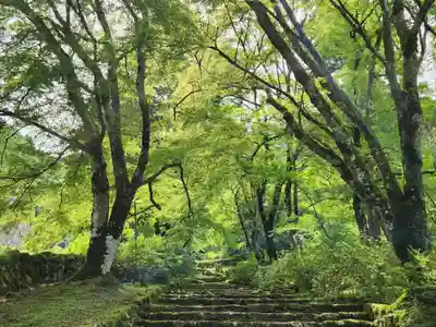高源寺のその他建物