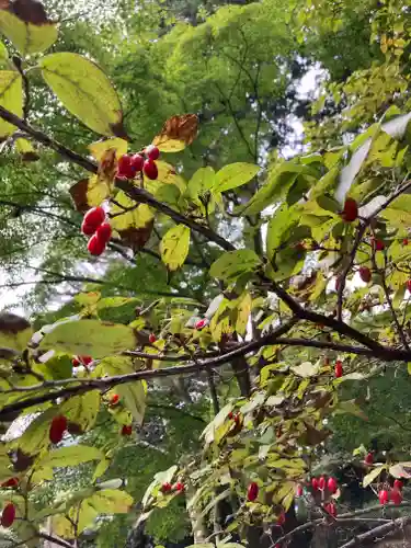 真正極楽寺（真如堂）(京都府)