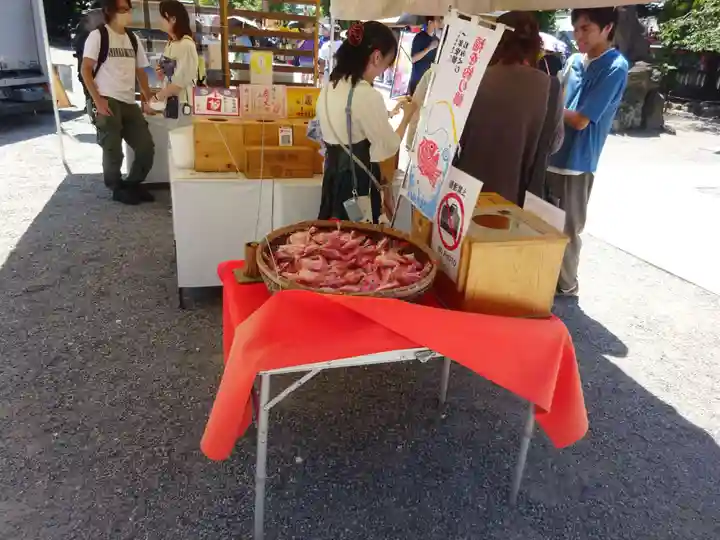 浅草神社のおみくじ