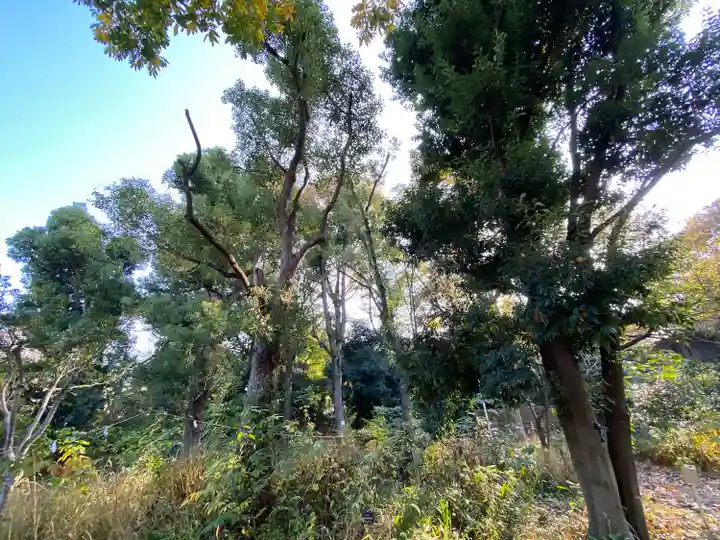 布多天神社(東京都)