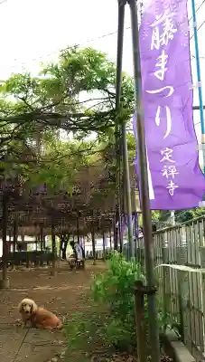 定禅寺(福岡県)
