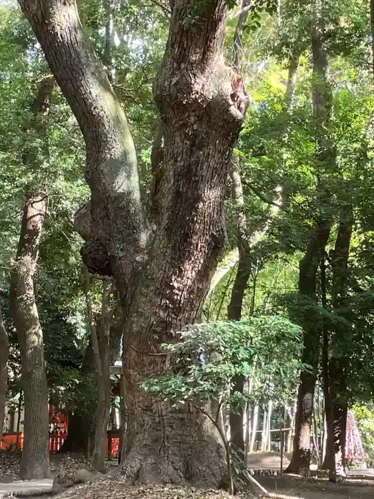 生田神社(兵庫県)