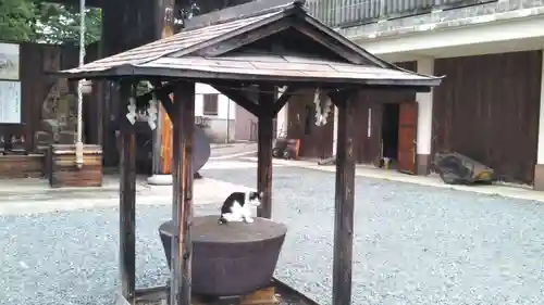 盛岡八幡宮の動物
