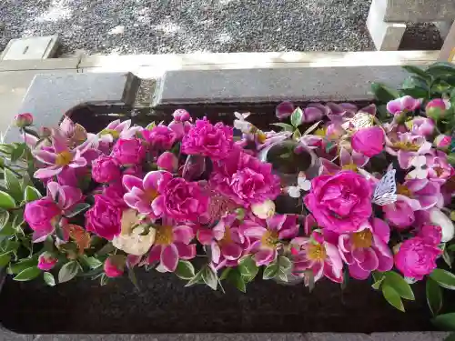 西宮八幡宮(山口県)