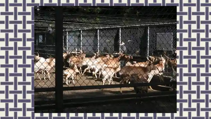 鹿島神宮(茨城県)