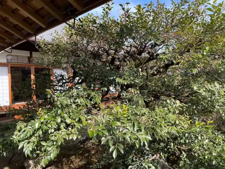 壽聖院(京都府)