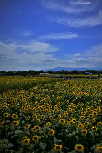 座間神社(神奈川県)