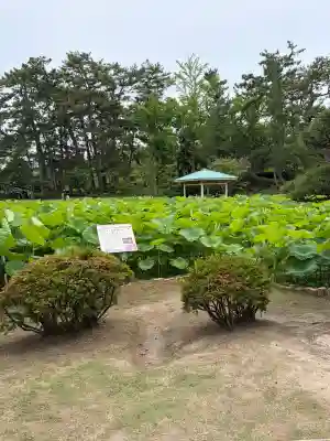 白山神社(新潟県)
