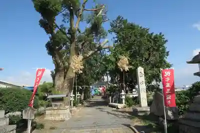 玉田神社(京都府)