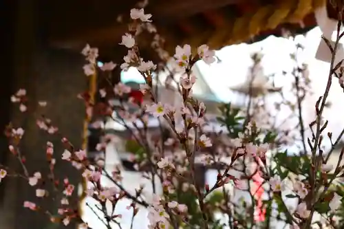 三津厳島神社(愛媛県)