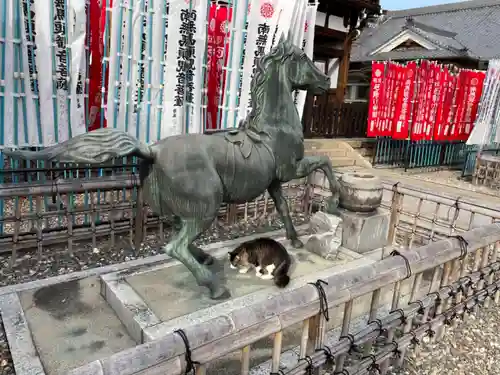 龍泉寺の狛犬