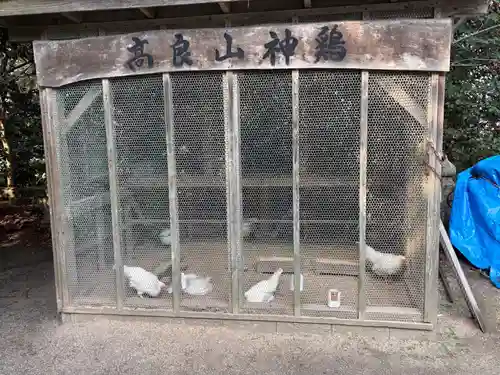 高良大社(福岡県)