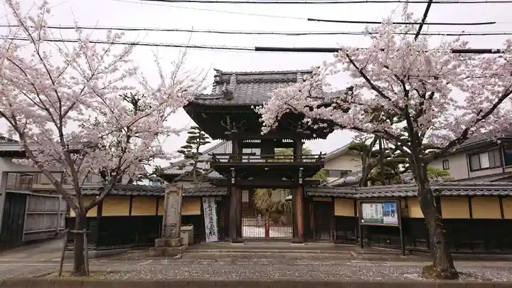 正興寺の山門・神門