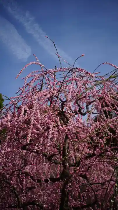 城南宮(京都府)