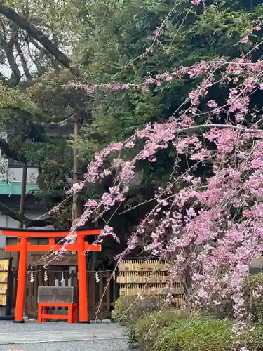 富知六所浅間神社の景色