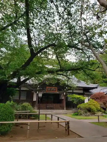 大円寺の本殿・本堂