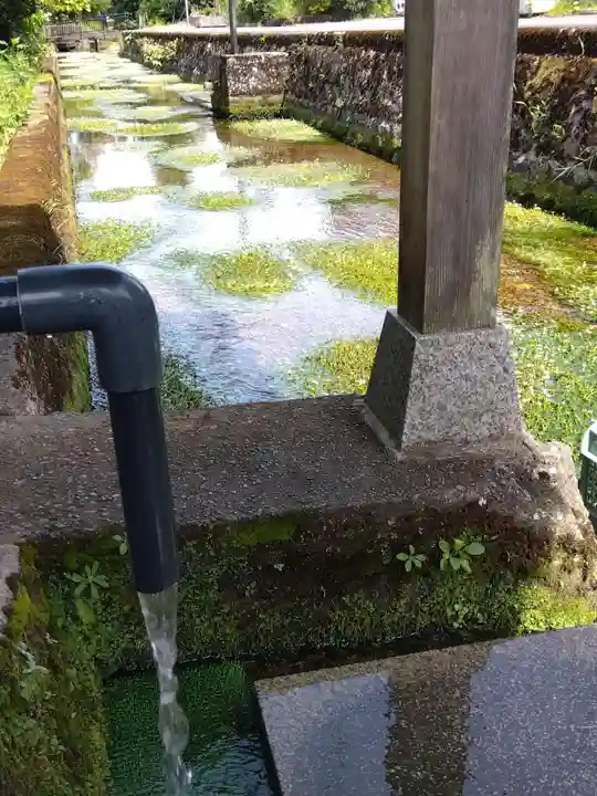 小烏神社(福井県)