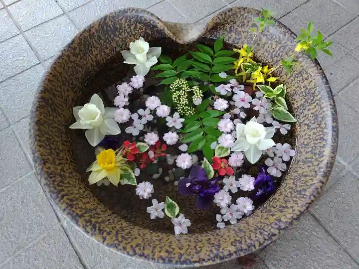 美瑛神社の手水舎