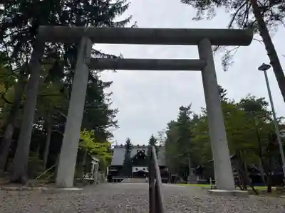 上川神社の鳥居