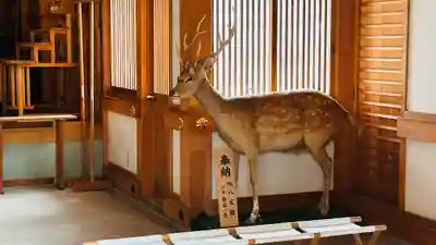 春日神社(京都府)