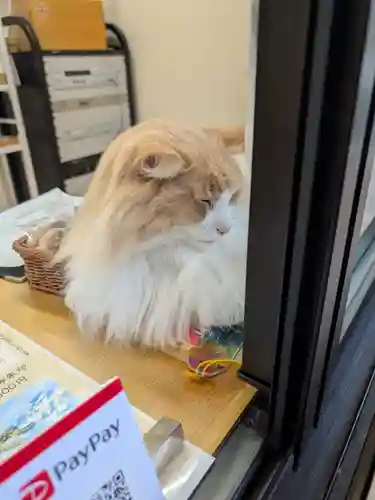 駒込妙義神社(東京都)