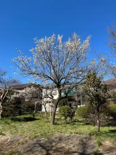 日進神社(埼玉県)
