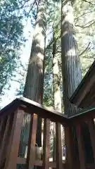 黄金山神社の自然