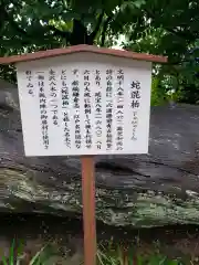 瀬戸神社の歴史